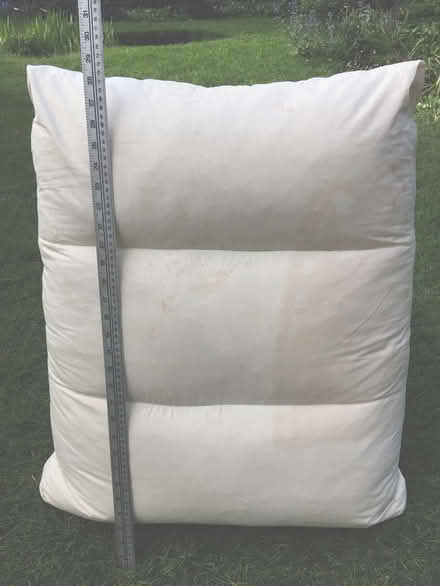 Photo of free Large down & feather cushion inner (Central Crouch End N8) #1