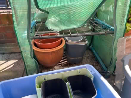 Photo of free Mini greenhouse and lots of plant pots (Hanover BN2) #2