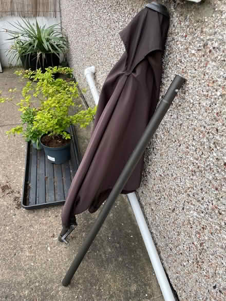 Photo of free Chocolate Brown Parasol (Bolsover S44) #1