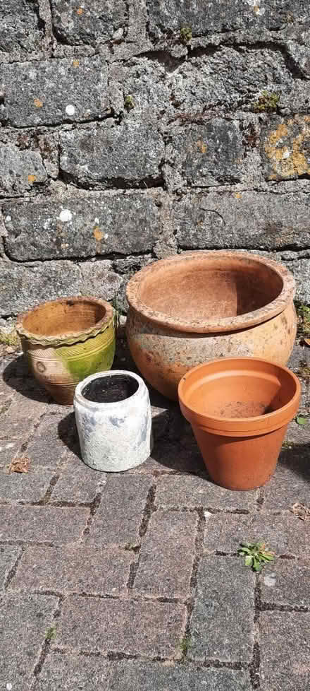 Photo of free Terracotta patio pots (Hayle) #1