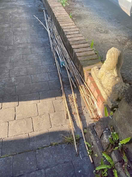 Photo of free Bamboo canes (Rhiwbina, Cardiff CF14) #1