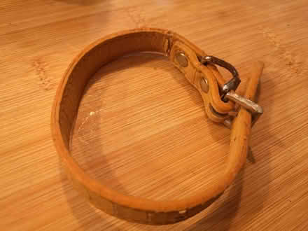 Photo of free Pet Collar (Downley HP13) #1