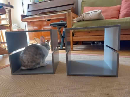 Photo of free 2 x Kallax inserts (11563) (Horsham, RH13) #1