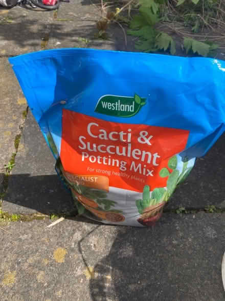 Photo of free Compost - cactus and succulents (Levenshulme) #1