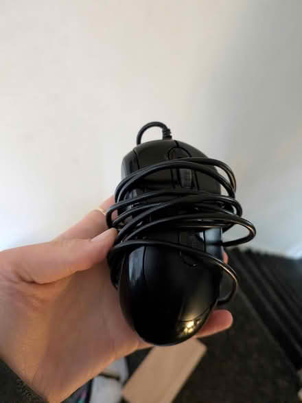 Photo of free Mouse (Manchester M19) #1