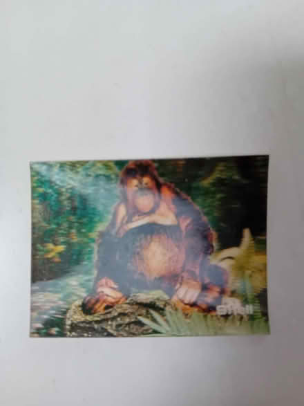 Photo of free 3D World Wildlife Fund Picture cards from 1980s (Lamorbey DA15) #4