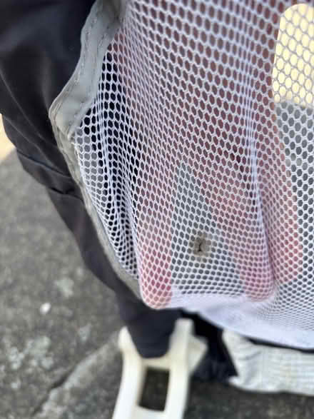 Photo of free Safety 1st Portable Bed Rail (Hanworth TW2) #4