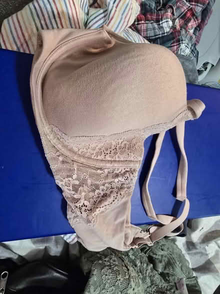 Photo of free Bras (Wards Corner) #1