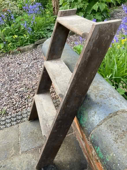 Photo of free Pine ladder (part of) (Priest Weston SY15) #2