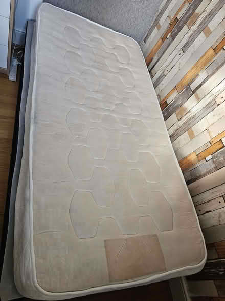 Photo of free Single mattress (Eltham SE9) #1