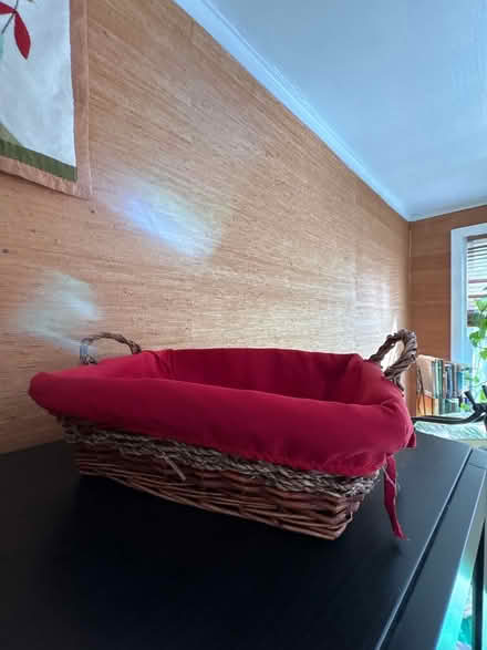 Photo of free Fabric-lined basket (Croton-on-Hudson) #1
