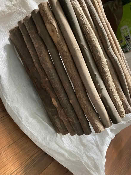 Photo of free Tortoise house (Allerton L18) #4