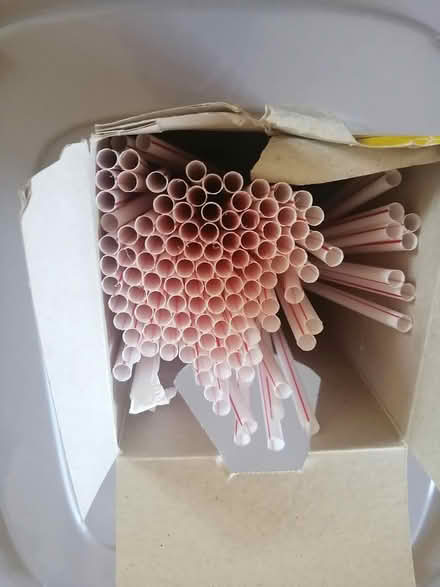 Photo of free Plastic Straws (Old Ottawa East) #1