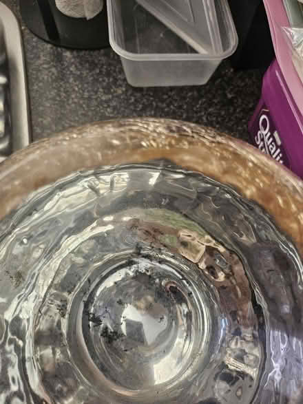 Photo of free Gold bowl (Ashton in Makerfield WN4) #4