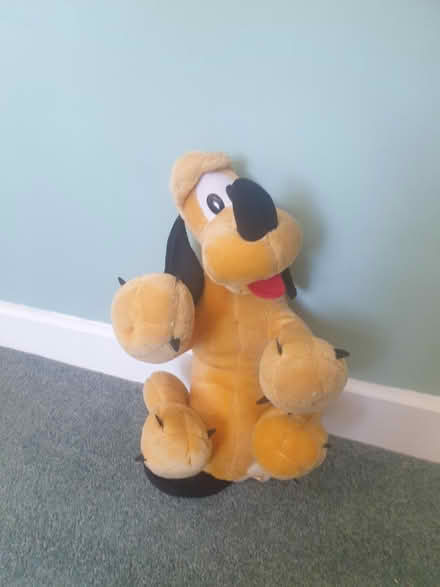 Photo of free Large soft toy (Loughborough LE11) #1