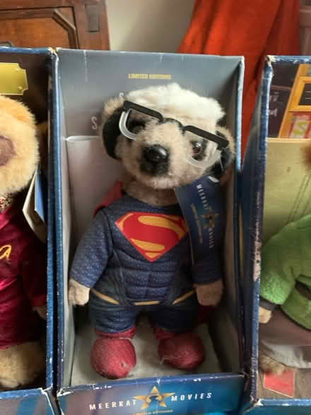 Photo of free Meerkat (HP2) #2