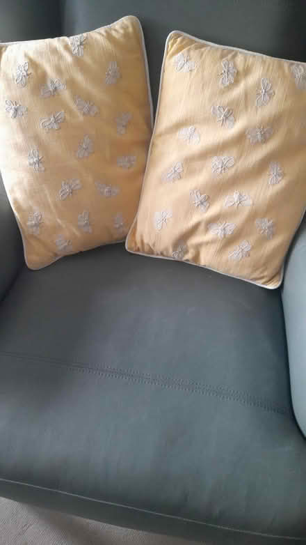 Photo of free Two Small. Cushions (Snaresbrook Stn.) #1
