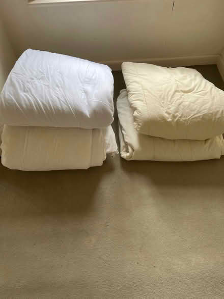 Photo of free Duvets (4) (Mobberley WA16) #1