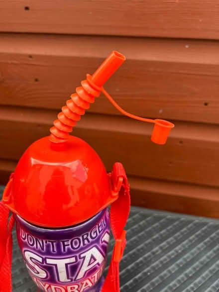 Photo of free Drinks bottle with carrying strap (Elmdon Heath B91) #3