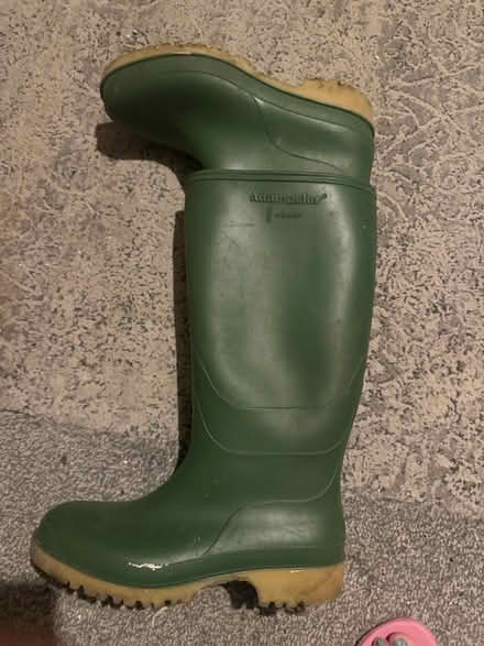 Photo of free Wellies size 12 (ME7) #1