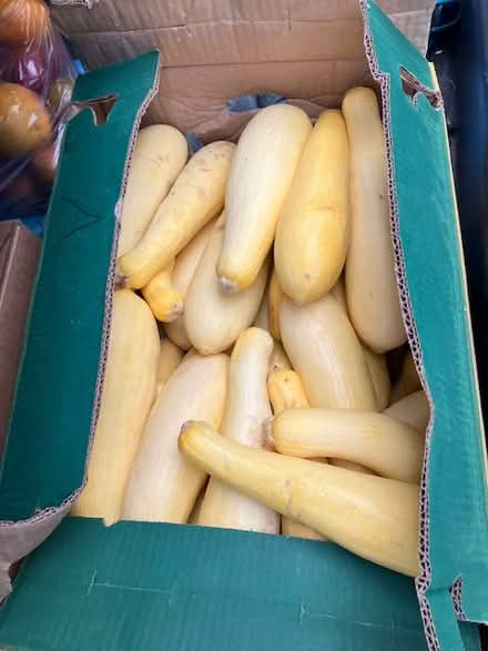 Photo of free yellow squash and mac&cheese (south sunnyvale) #2