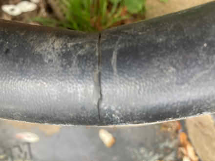 Photo of free Medium pond (Colchester CO28TQ) #4