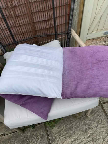 Photo of free Pillows (RG30 Tilehurst) #3