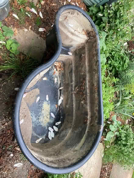 Photo of free Medium pond (Colchester CO28TQ) #1