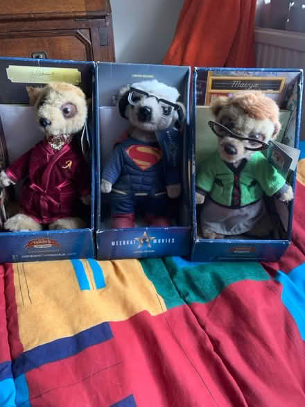 Photo of free Meerkat (HP2) #4