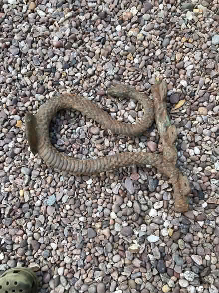 Photo of free Cast-iron bench-ends? (Priest Weston SY15) #2