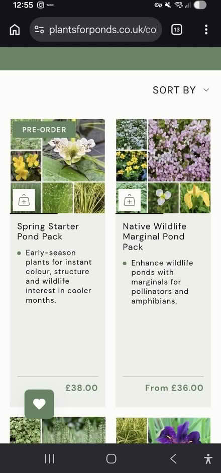 Photo of Small pond plants (BN11 worthing) #1