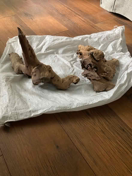 Photo of free Dry wood for vivarium (Allerton L18) #2