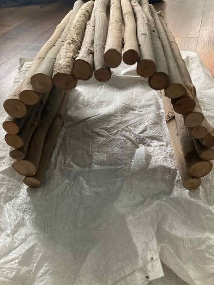 Photo of free Tortoise house (Allerton L18) #2