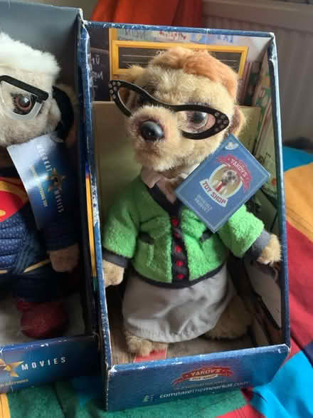 Photo of free Meerkat (HP2) #1