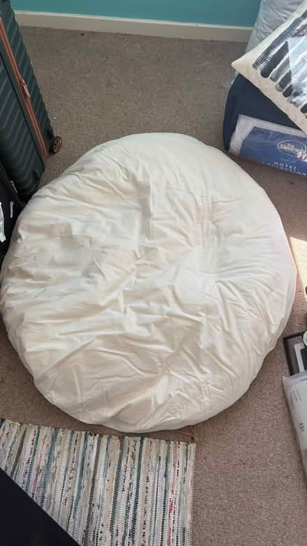Photo of free Large cushion/dog bed insert (Burnham SL1) #1