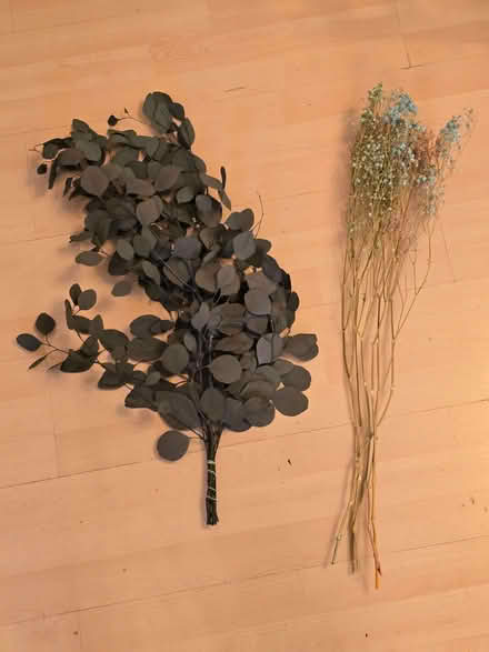 Photo of free Dried eucalyptus and babies breath (Northolt UB5) #1
