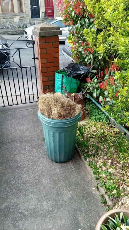 Photo of free Hay for rabbit, guinea pigs etc (Greaves LA1) #1