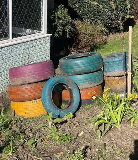 Photo of free Painted tyres for gardening project (Meadowhead S8) #1
