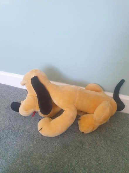 Photo of free Large soft toy (Loughborough LE11) #2