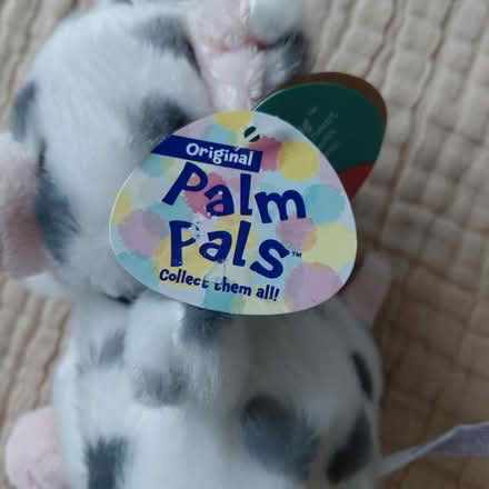 Photo of free Pocket pig plush (Union City) #2