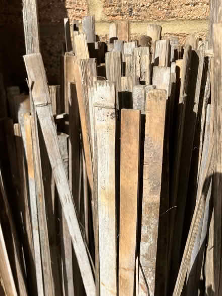 Photo of free Split bamboo slats (West Marina TN38) #2