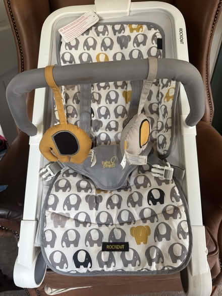 Photo of free Baby Bouncer (University of Bath BA2) #1