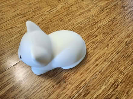 Photo of free cat night light (Gleneagles area, Wboro NN8) #2