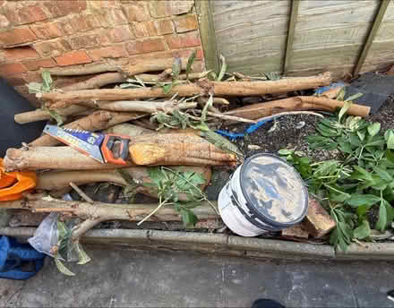 Photo of free wood (LE4 Leicester) #2