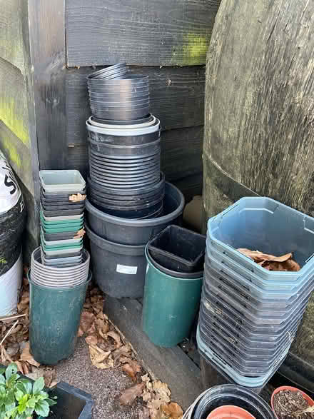 Photo of free Plant pots (plastic) (High Wood RG9) #1