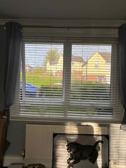 Photo of free 2 x 5ft wide (S6) #2