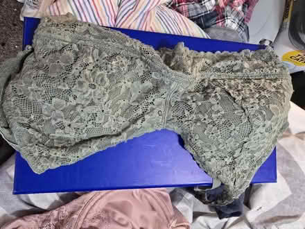 Photo of free Bras (Wards Corner) #3