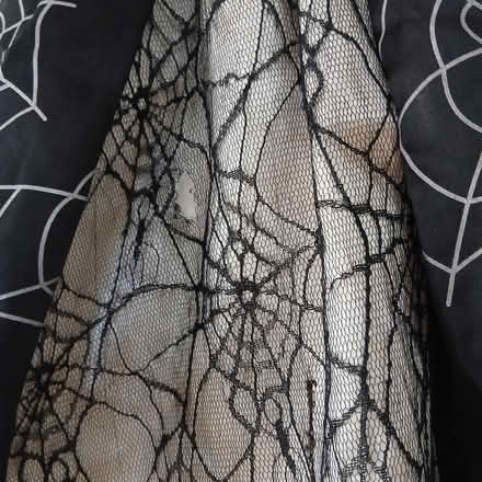 Photo of free Halloween Spider Web Dress 3-4 Fair (HA5 Eastcote Pinner) #2