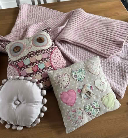 Photo of free Blanket and cushions (Beckenham BR3) #1