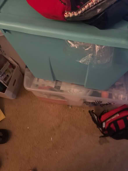 Photo of plastic storage but ns (Alexandria 22306) #3